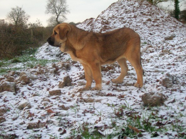 Publication : de la bande à Gro Auteur : CQuemener