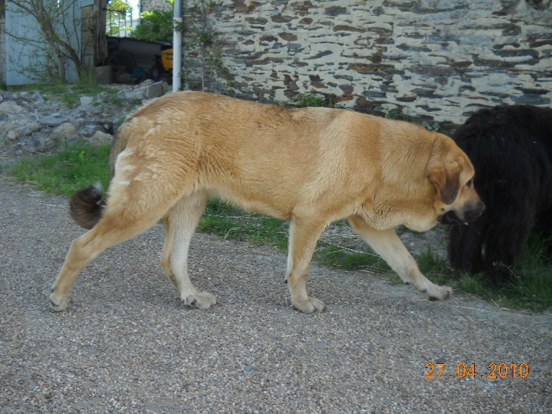 Publication : de la bande à Gro Auteur : CQuemener