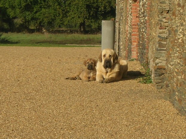 Publication : de la bande à Gro Auteur : CQuemener