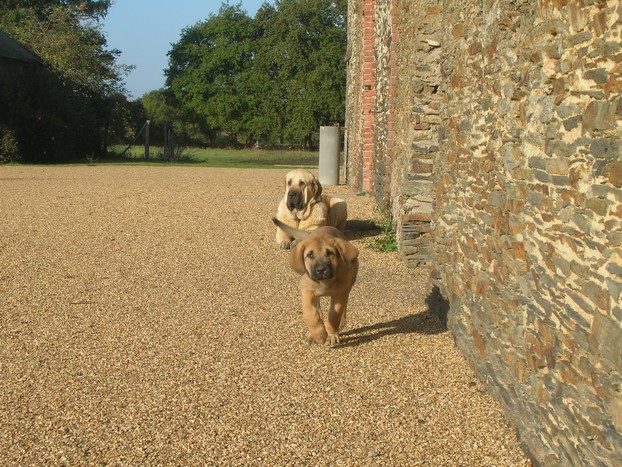Publication : de la bande à Gro Auteur : CQuemener