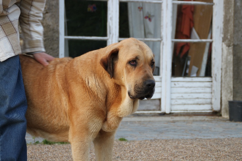 Publication : de la bande à Gro Auteur : CQuemener