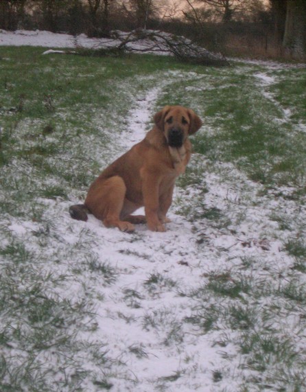 Publication : de la bande à Gro Auteur : CQuemener