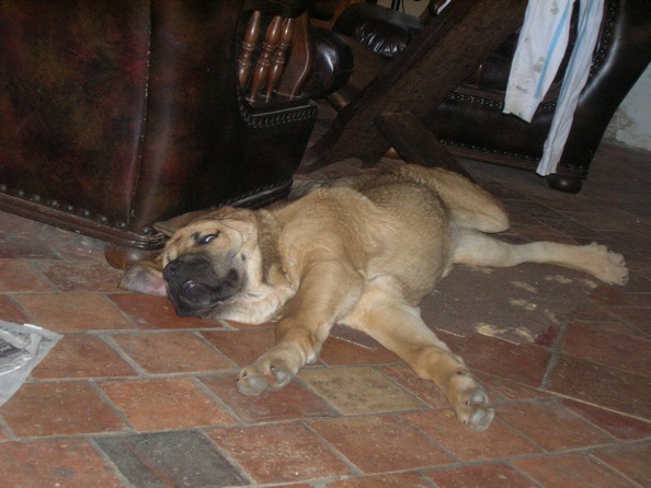 Publication : de la bande à Gro Auteur : CQuemener