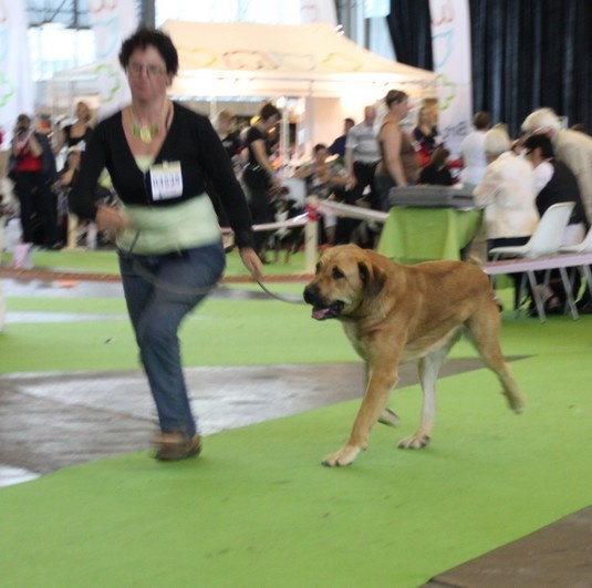 CH. Manchas de los piscardos - 4 ème exc