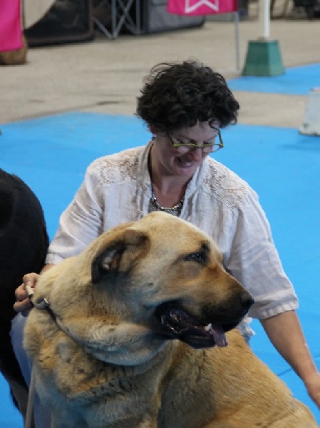 CH. Manchas de los piscardos - 2 ème EXC