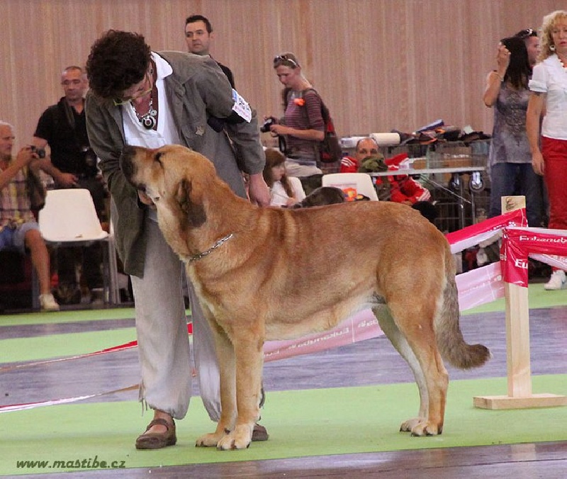 CH. Manchas de los piscardos - 3ème EXC