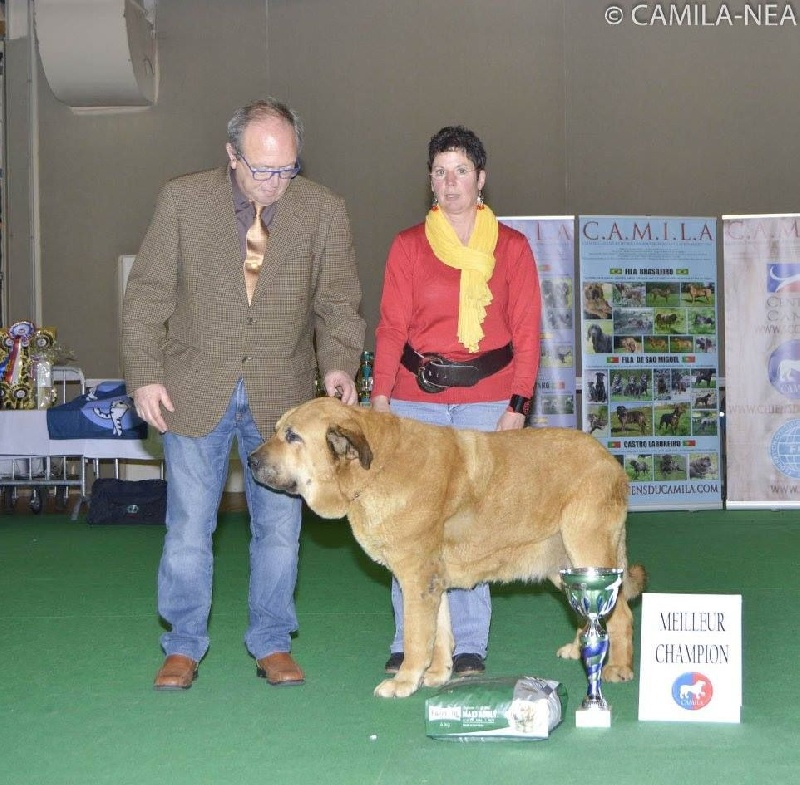 CH. Manchas de los piscardos - 1exc meilleure championne du CAMILA