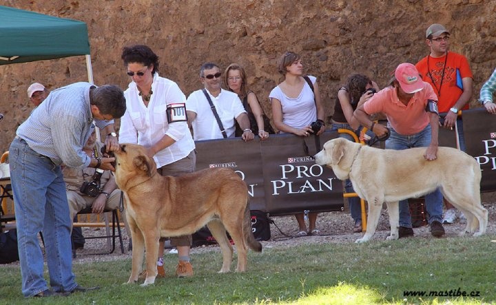 CH. Manchas de los piscardos - exc