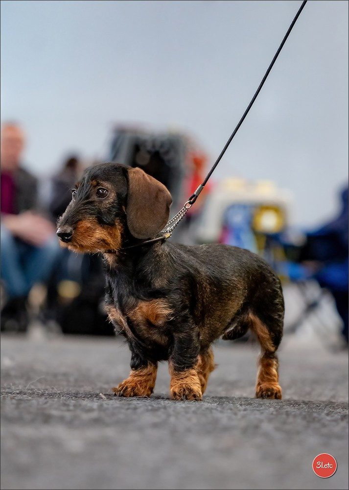 Valberthe des coeurs fideles du val