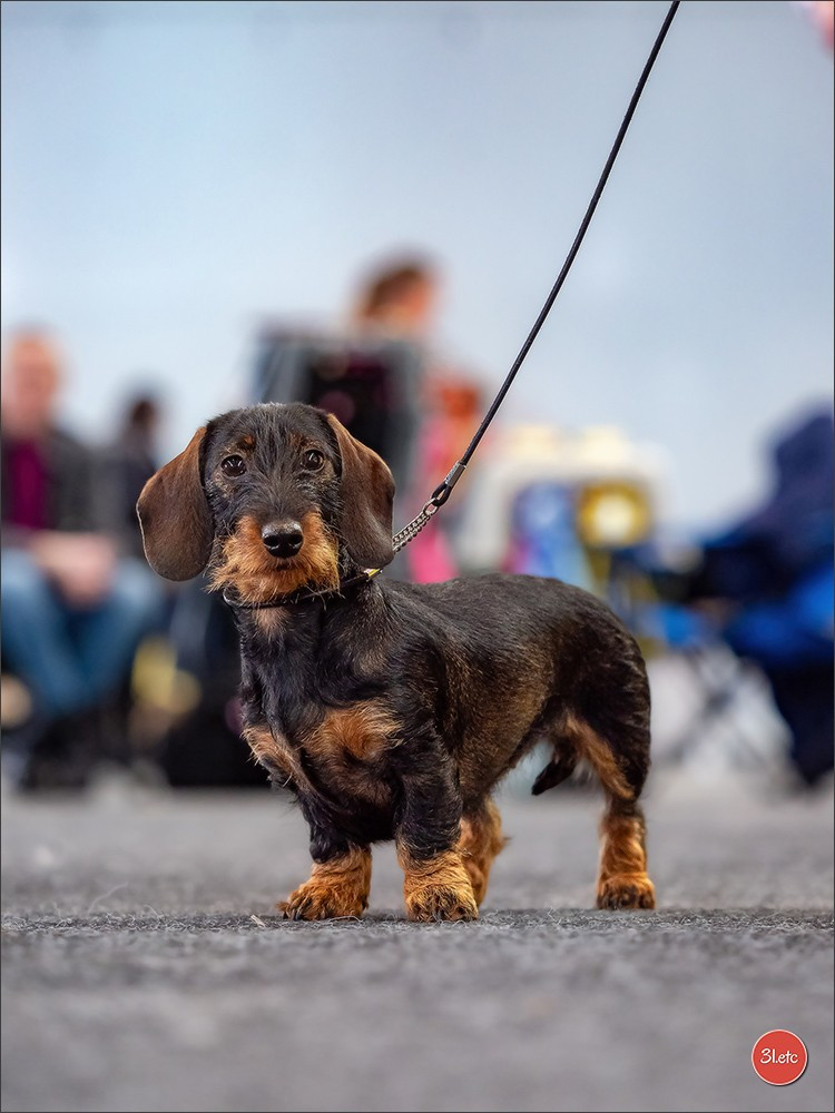 Valberthe des coeurs fideles du val