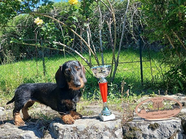 Valberthe des coeurs fideles du val - KSCHLH 2ème prix/TAN