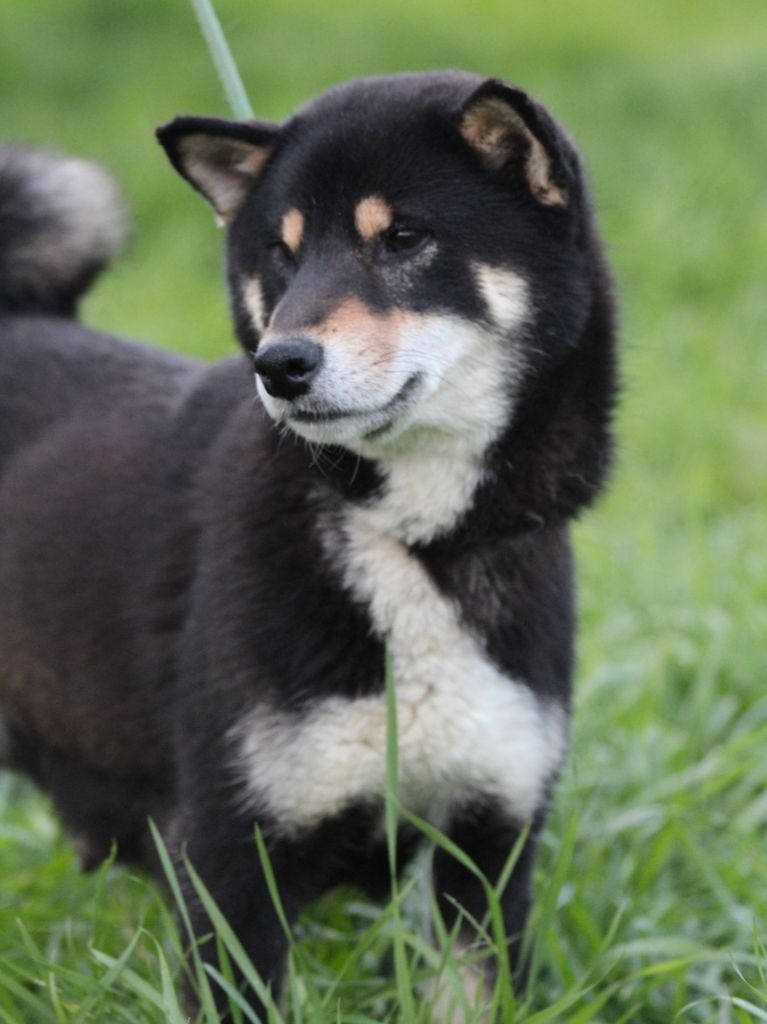 Publication : des bois de la bro