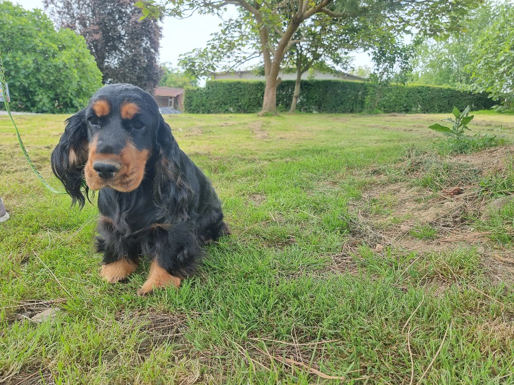 Victoire des bois de la bro