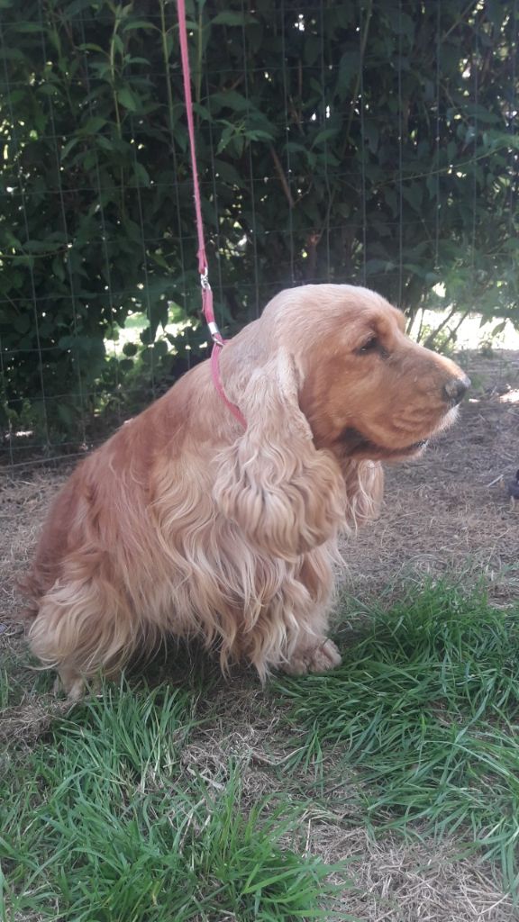 Publication : des bois de la bro Auteur : Balssa