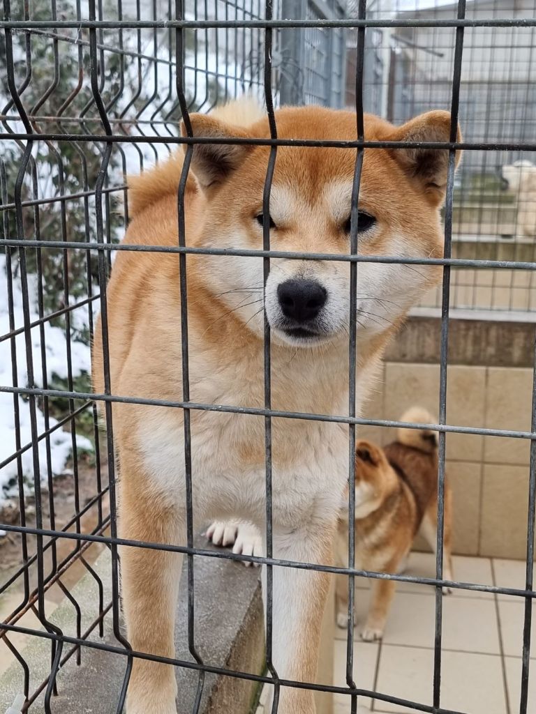 Publication : des bois de la bro