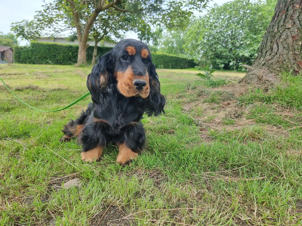 Victoire des bois de la bro