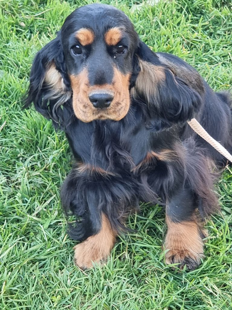 Victoire des bois de la bro