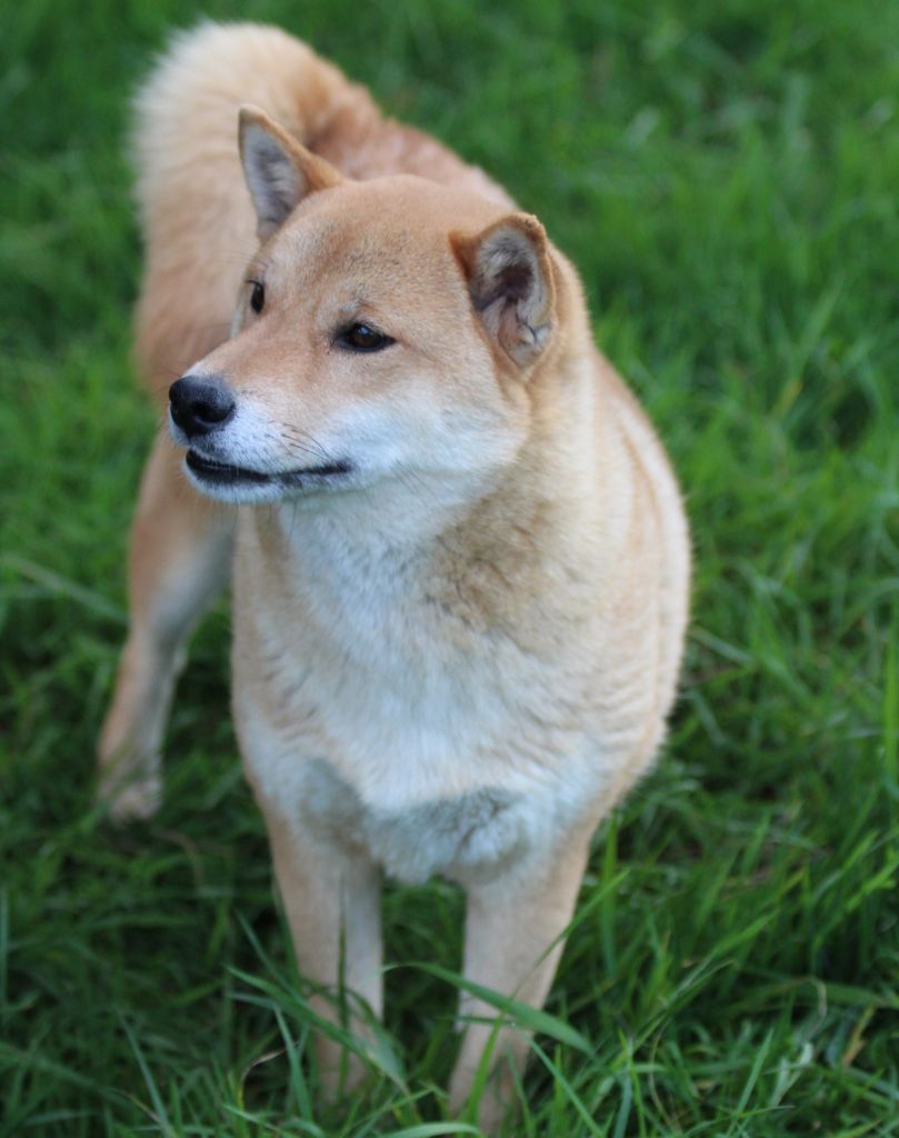 Publication : des bois de la bro