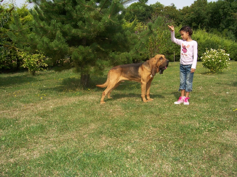 Byron de la voix de saint lact