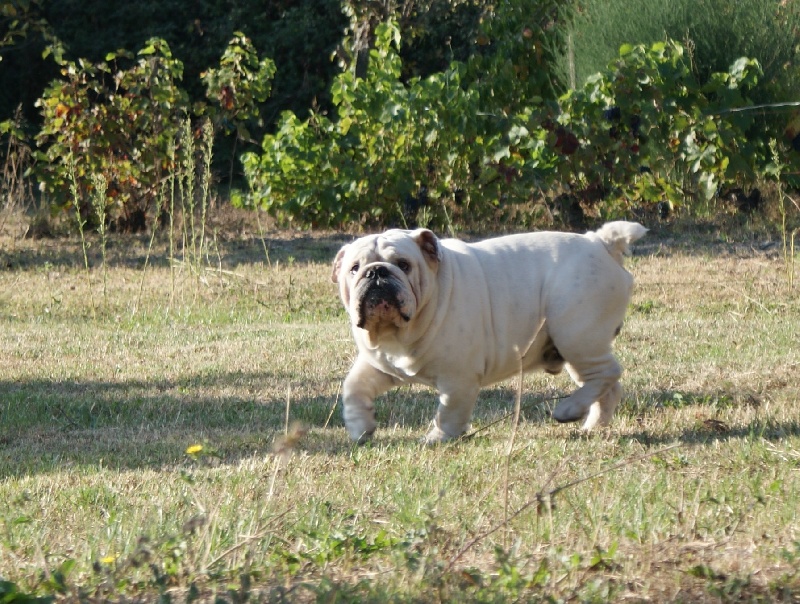 Publication : New Soul