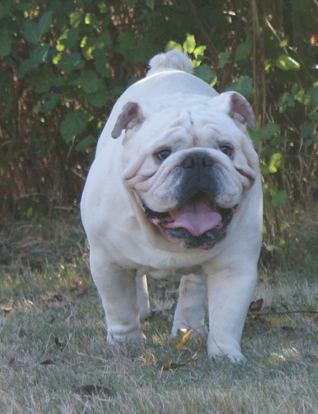 Publication : New Soul