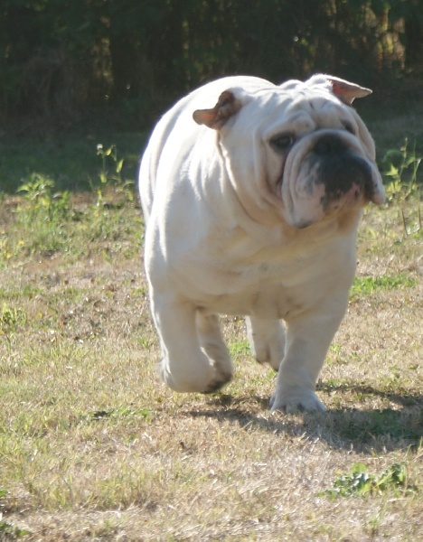 Publication : New Soul