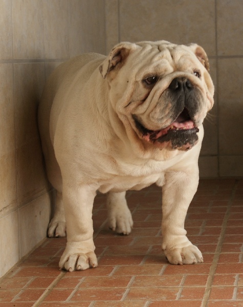 Publication : New Soul