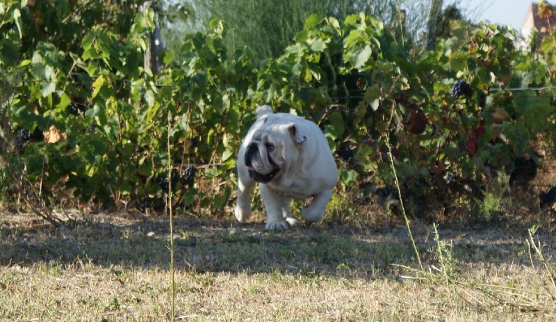 Publication : New Soul