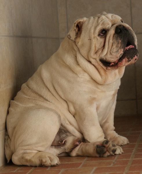 Publication : New Soul