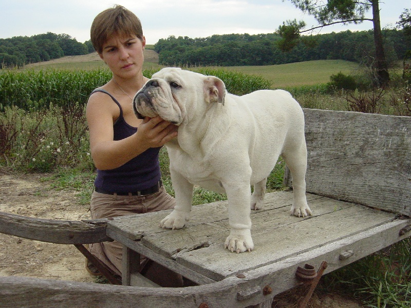 Publication : New Soul