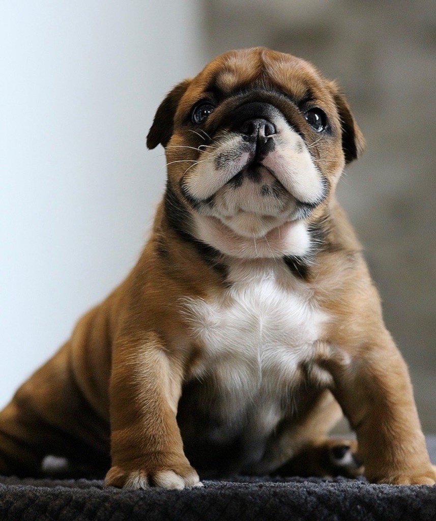 New Soul Always in my heart dit Azel