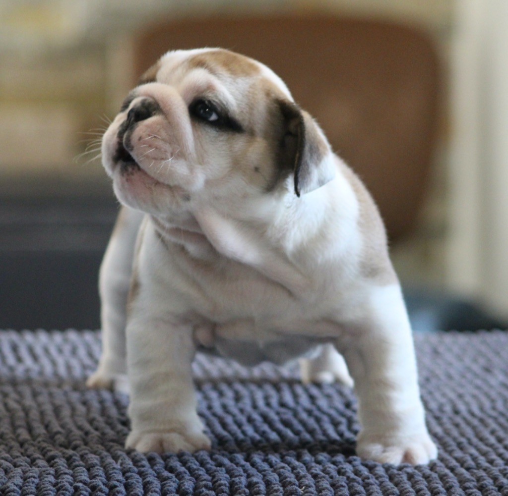 New Soul A little magic