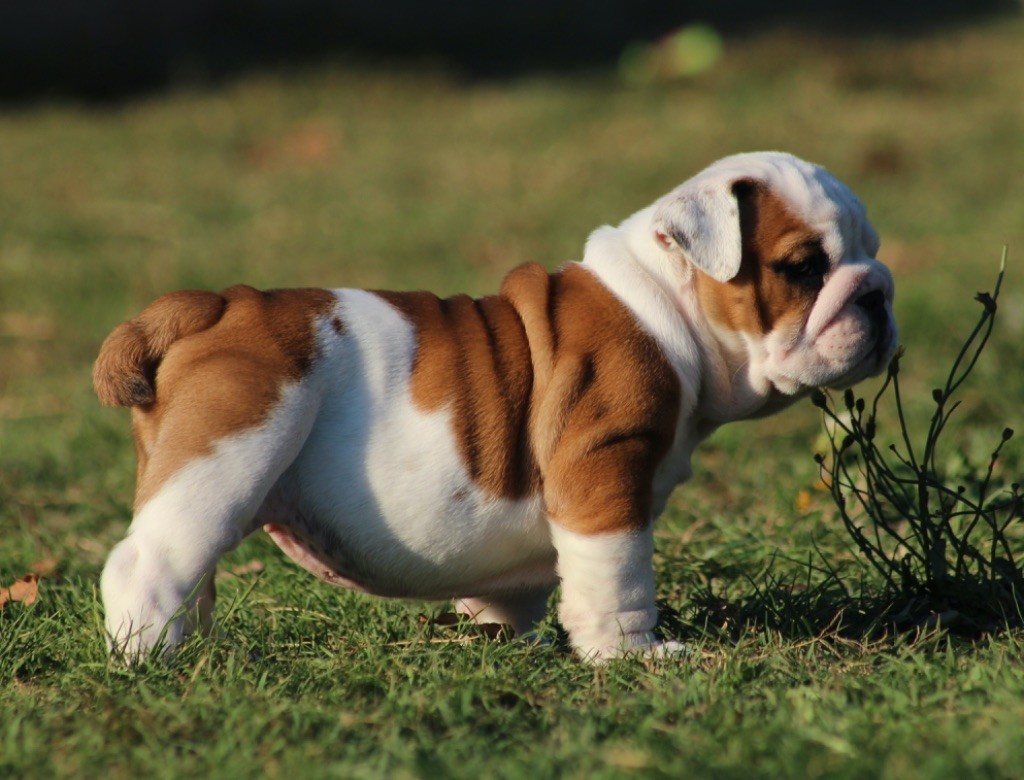 New Soul All about Love