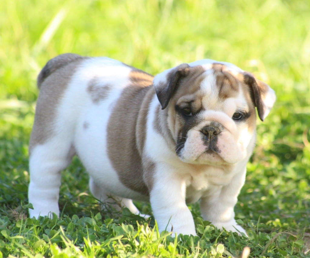 New Soul A little magic