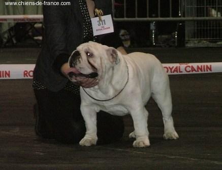 Blood sugar sex magic du clos de la Picoterie - 3 eme EXCELLENT