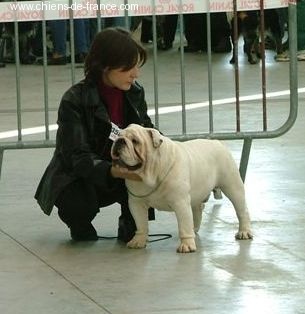 Blood sugar sex magic du clos de la Picoterie - 1 ER EXCELLENT MEILLEUR JEUNE