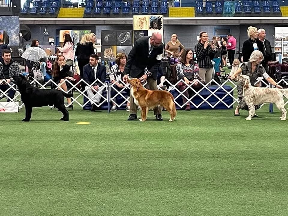 CH. tollerpride Roasted Wake Up at TuffnTendr