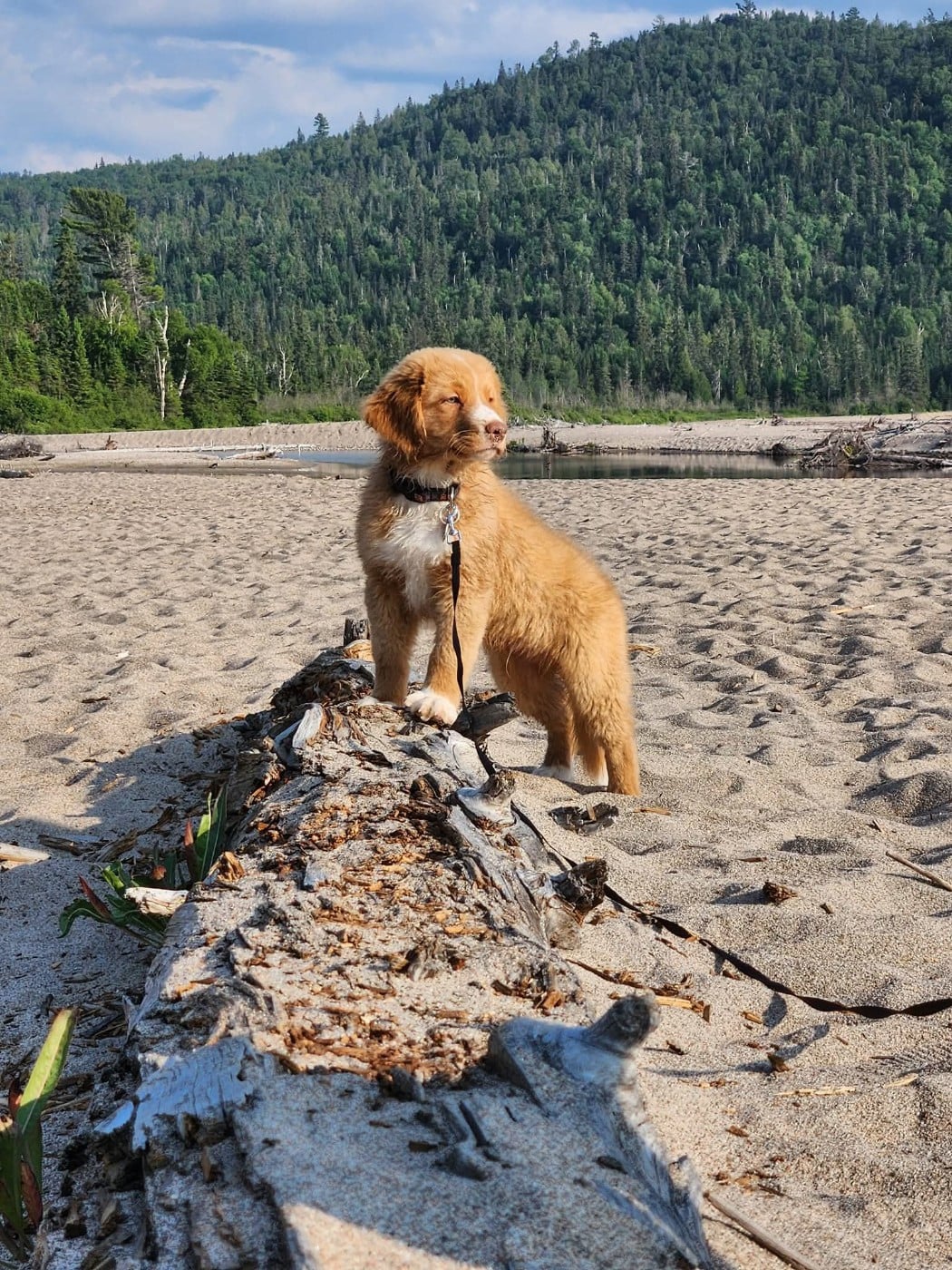 avatar 's Callin'the Shots at TuffnTendr