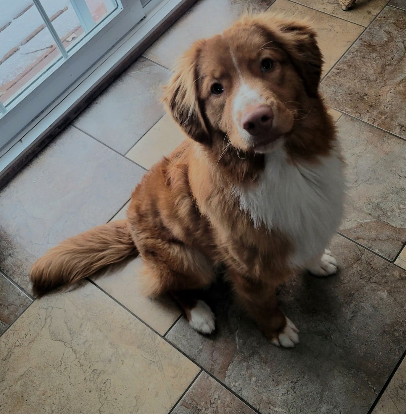 avatar 's Callin'the Shots at TuffnTendr