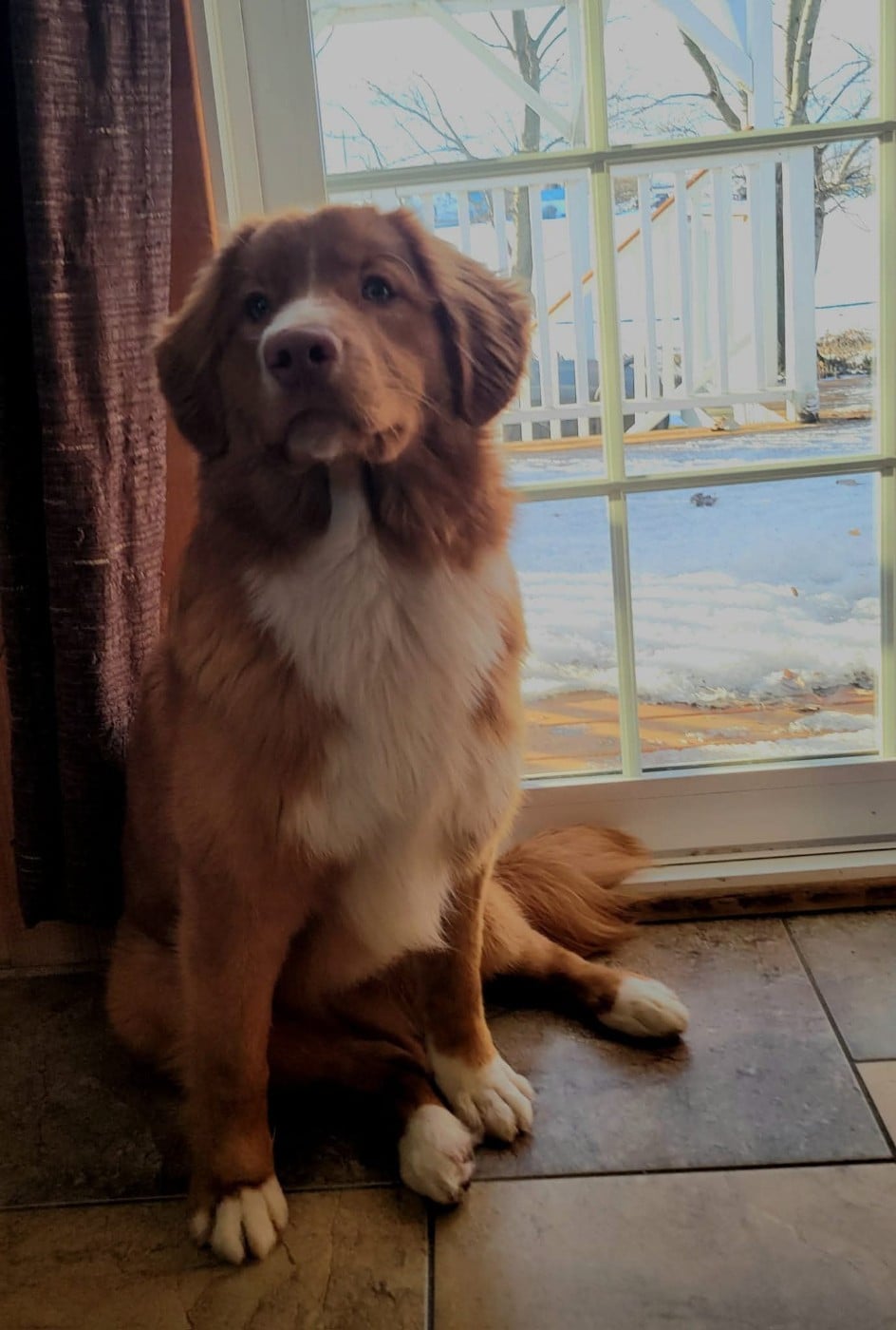 avatar 's Callin'the Shots at TuffnTendr