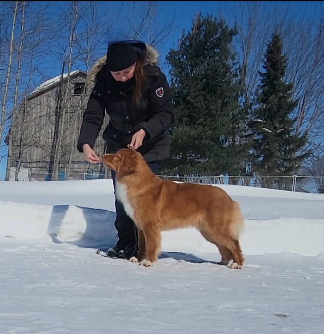 avatar 's Callin'the Shots at TuffnTendr