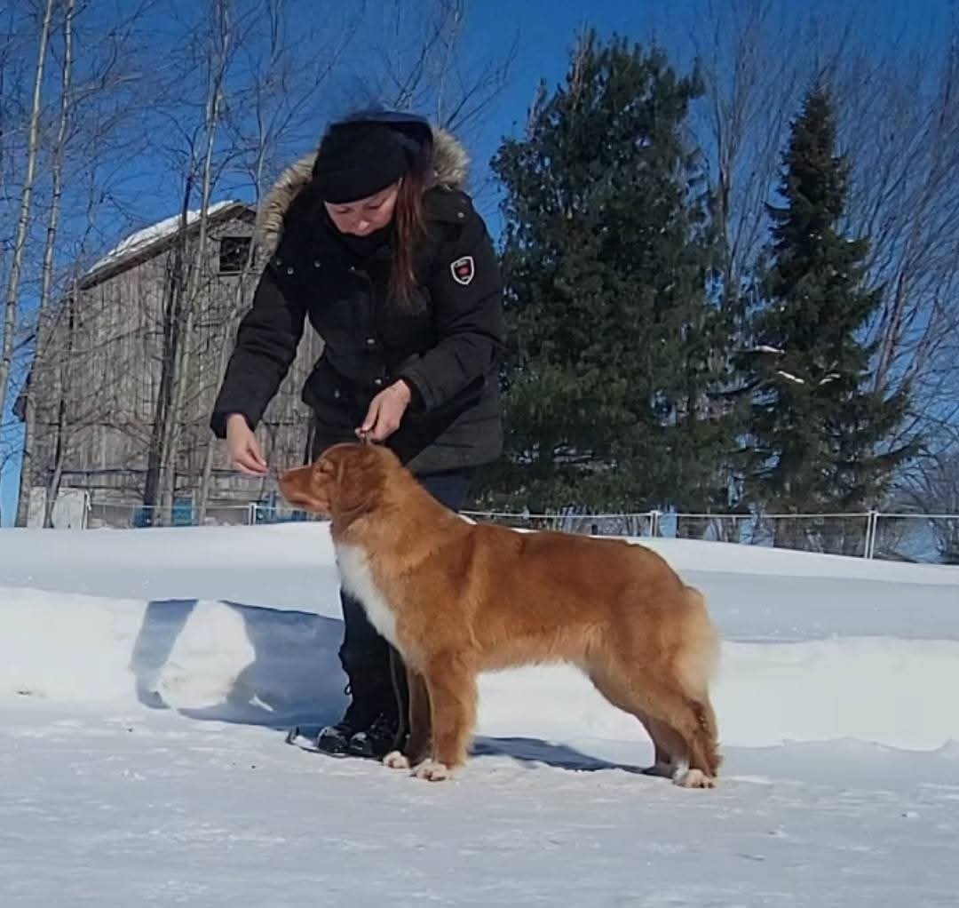 avatar 's Callin'the Shots at TuffnTendr