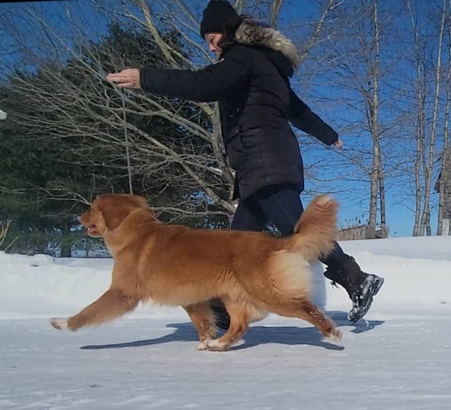 avatar 's Callin'the Shots at TuffnTendr