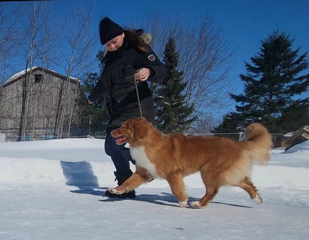 avatar 's Callin'the Shots at TuffnTendr