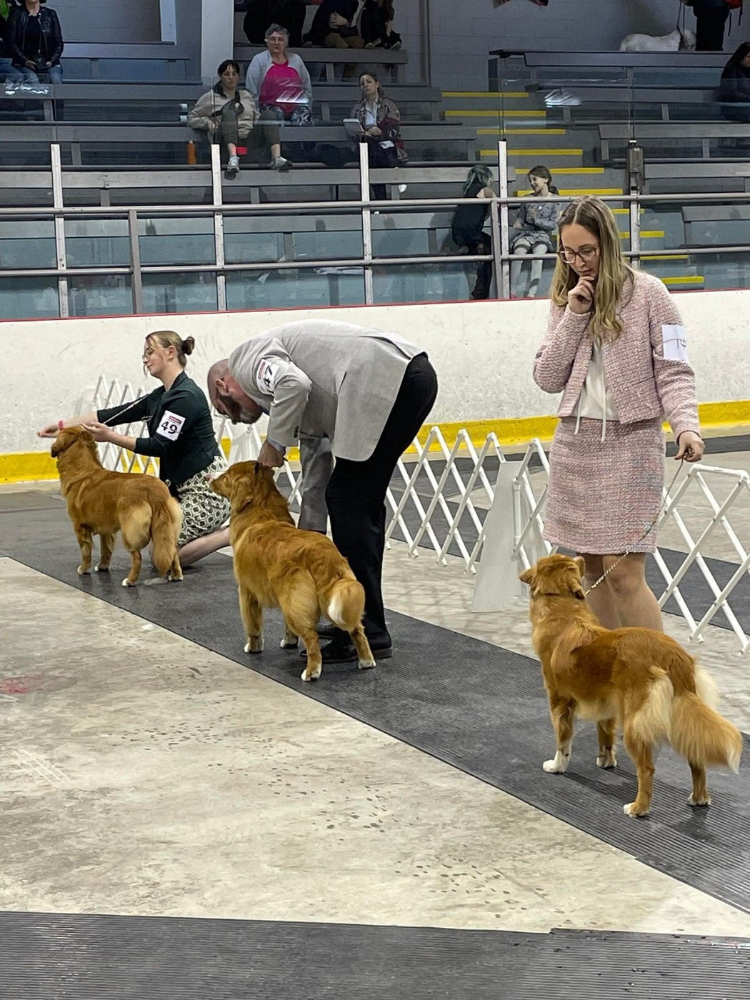 CH. Tuffntendr Spirit of the White Hunter Nanook