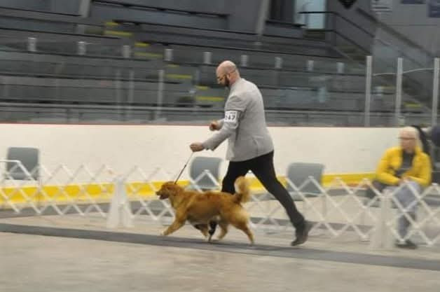 CH. Tuffntendr Spirit of the White Hunter Nanook