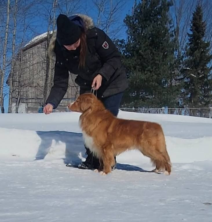 CH. Tuffntendr Spirit of the White Hunter Nanook
