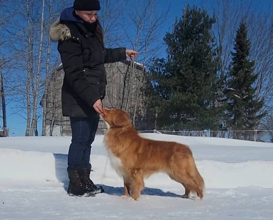 CH. Tuffntendr Spirit of the White Hunter Nanook