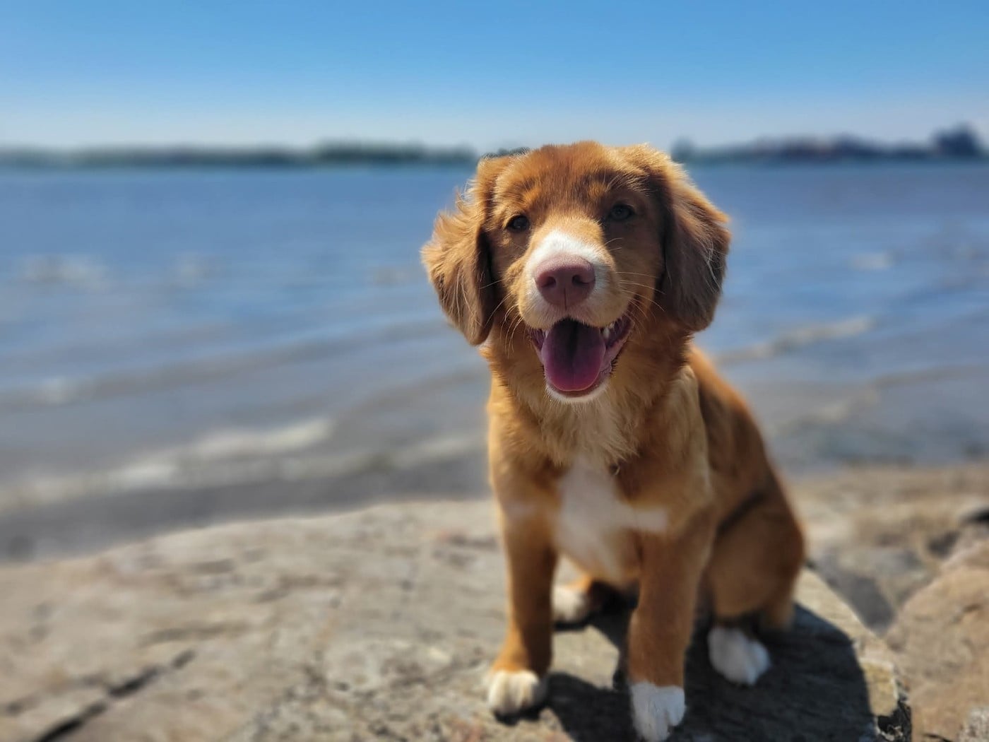 Tuffntendr Daughter of the Land