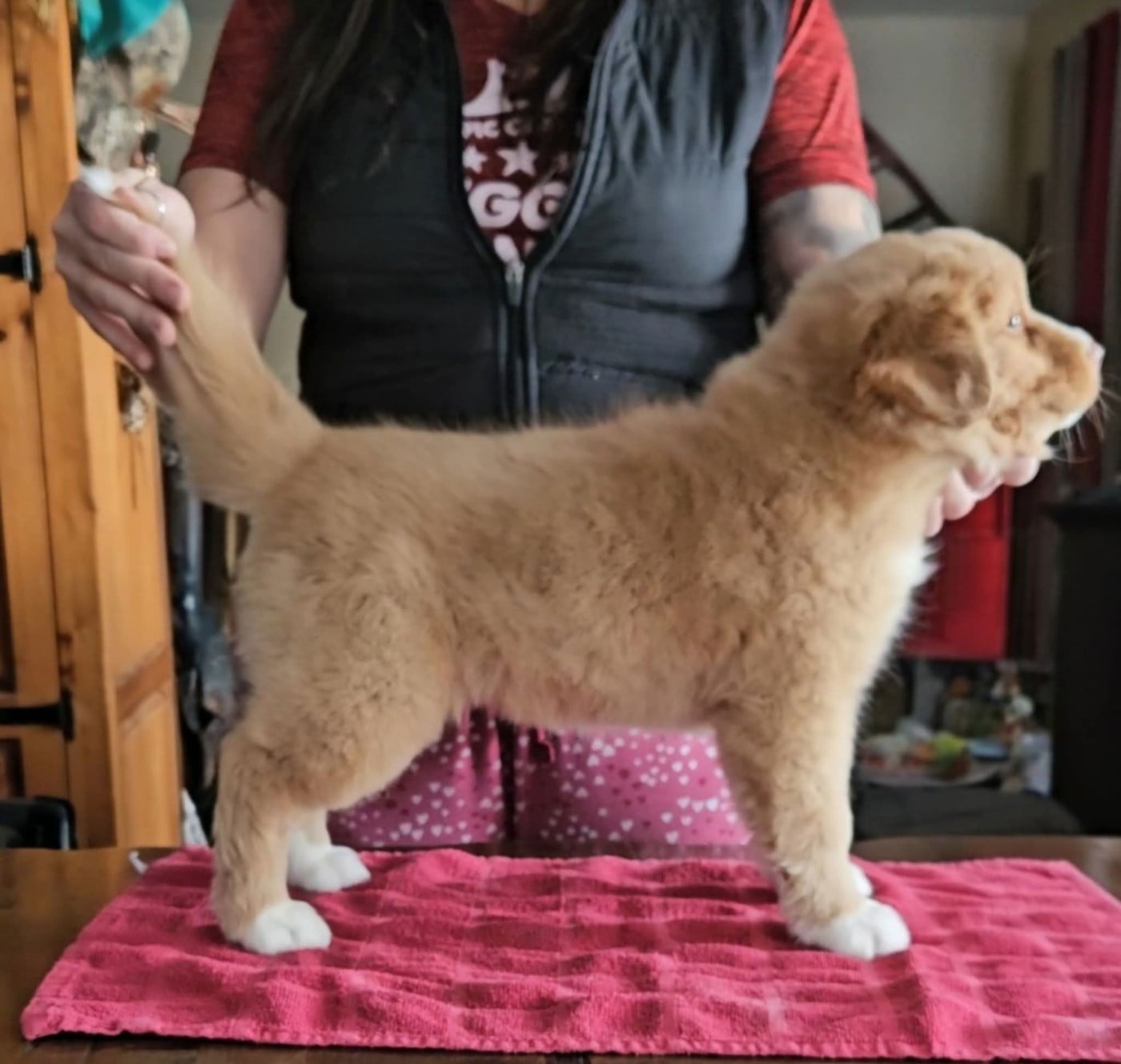 Tuffntendr What if the Girl is a Gangster